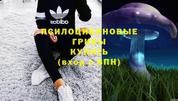 каннабис Абинск