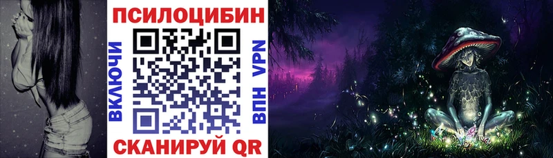 цена наркотик Ужур Псилоцибиновые грибы Magic Shrooms